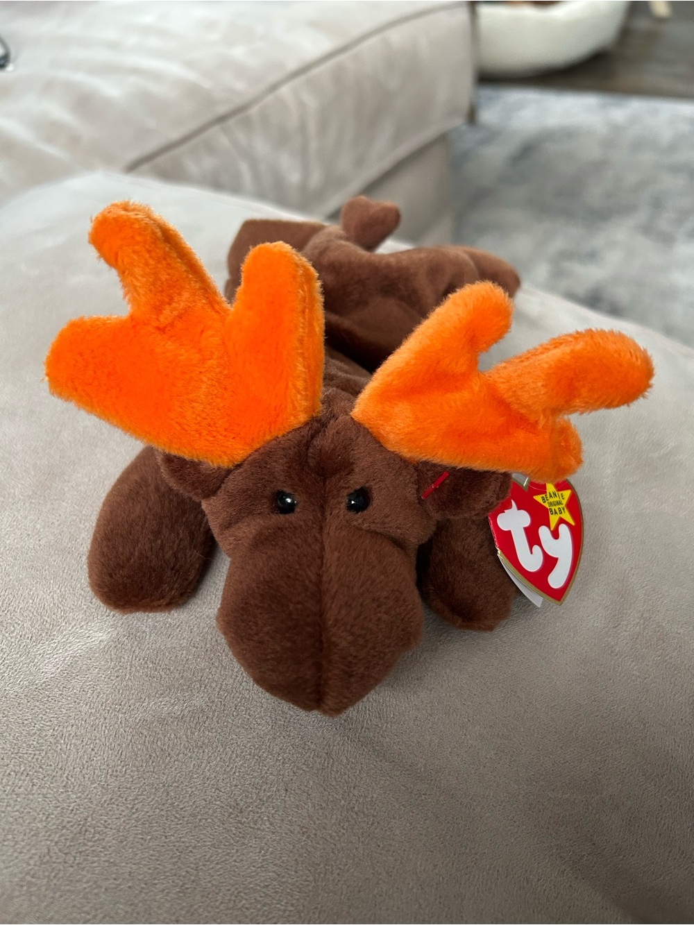 TY Beanie Baby ,Chocolate the Moose.Rare,retired